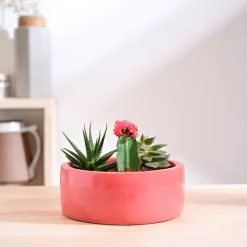 Lilac Stories Flat Ceramic Planter