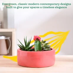Lilac Stories Flat Ceramic Planter