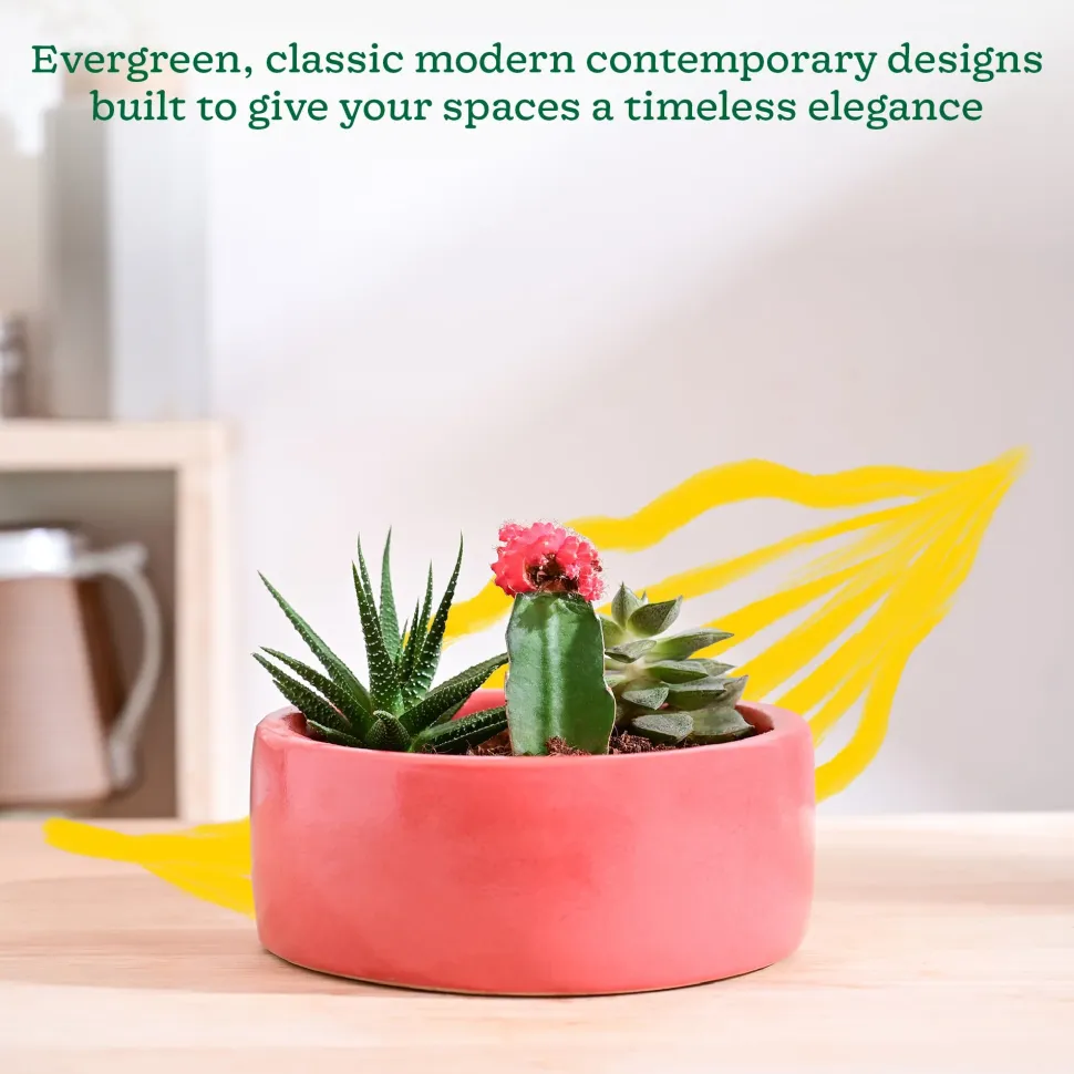Lilac Stories Flat Ceramic Planter