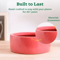 Lilac Stories Flat Ceramic Planter