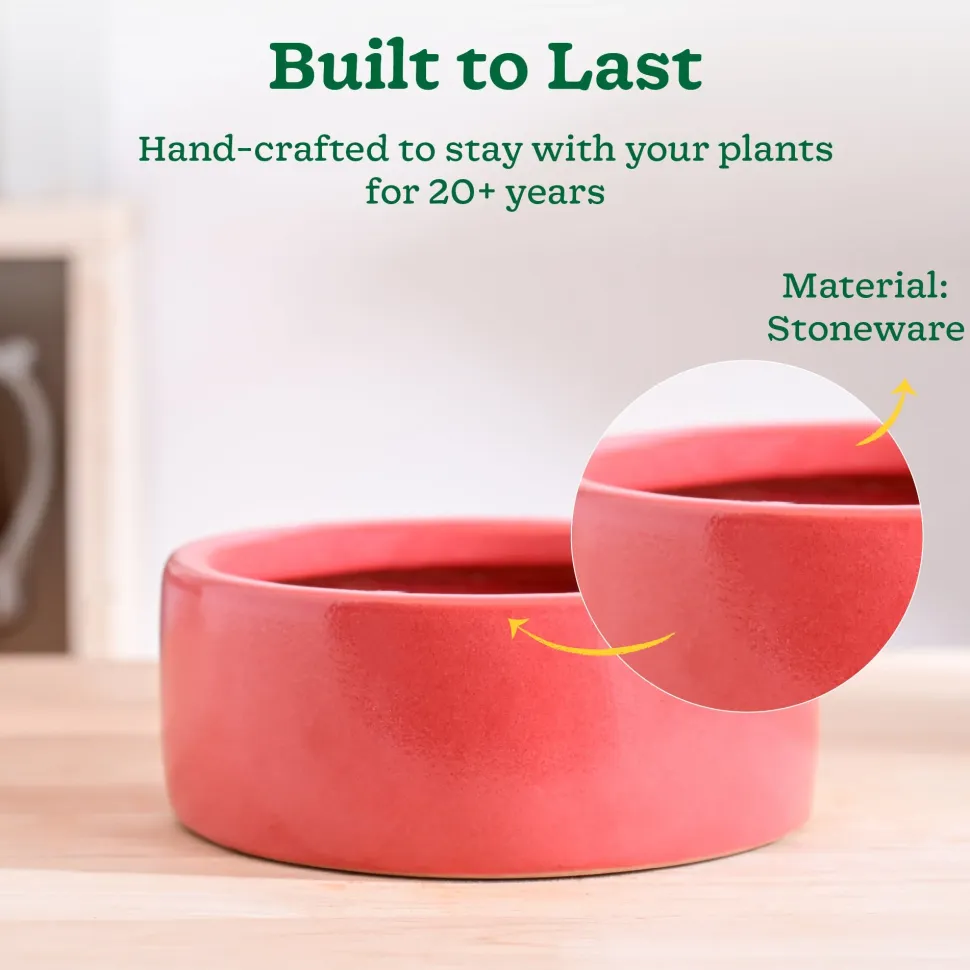 Lilac Stories Flat Ceramic Planter