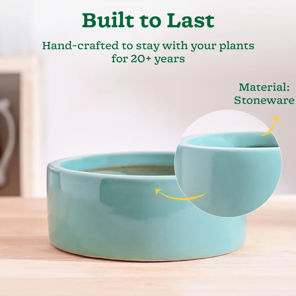 Lilac Stories Flat Ceramic Planter