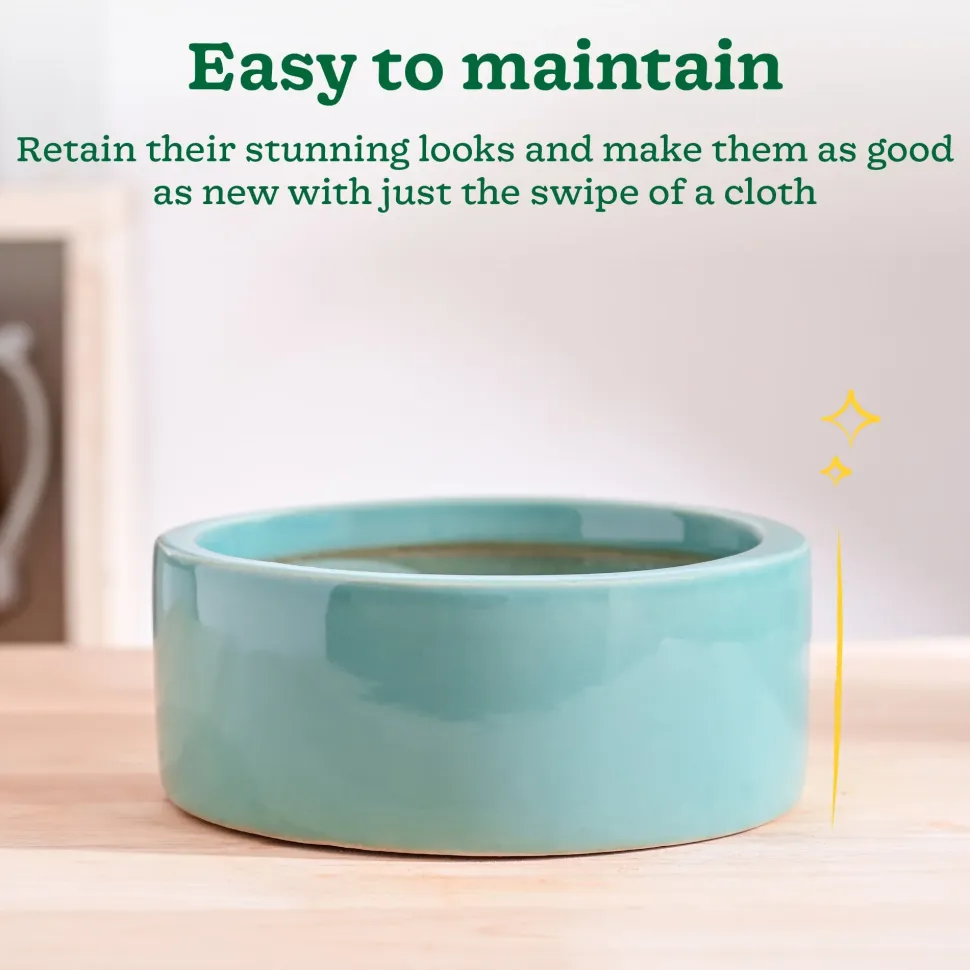 Lilac Stories Flat Ceramic Planter