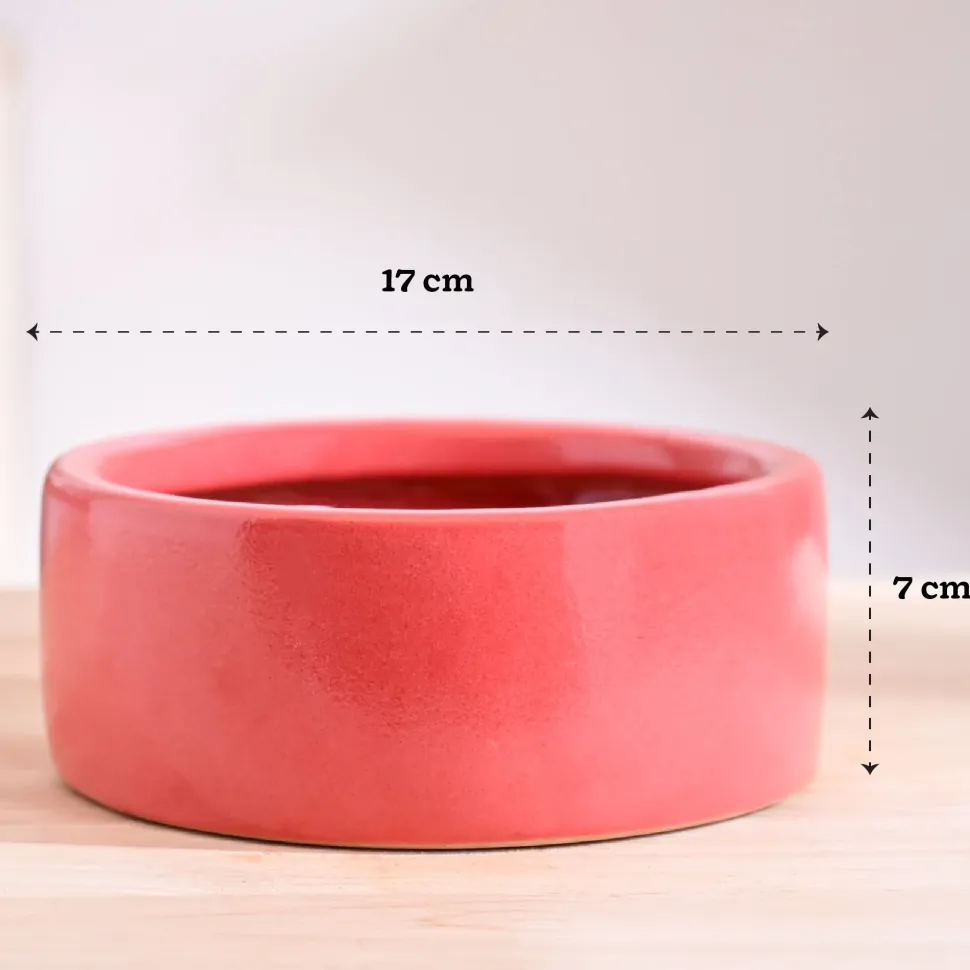 Lilac Stories Flat Ceramic Planter