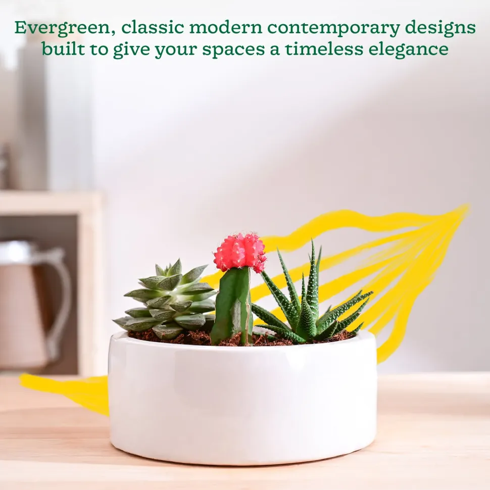 Lilac Stories Flat Ceramic Planter
