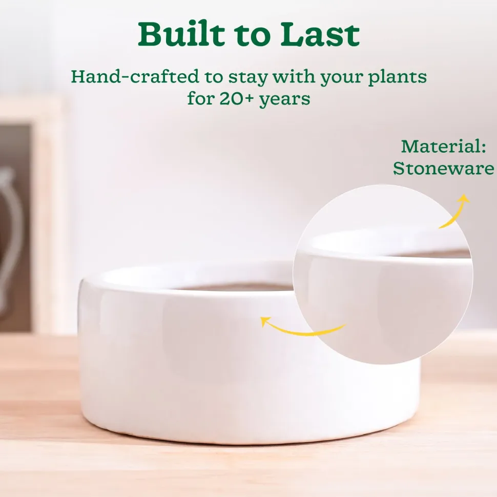 Lilac Stories Flat Ceramic Planter