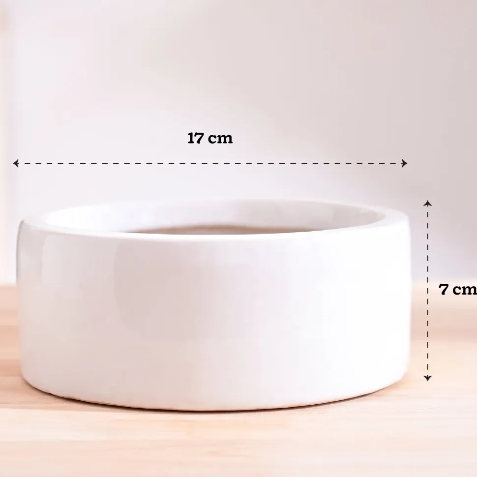 Lilac Stories Flat Ceramic Planter