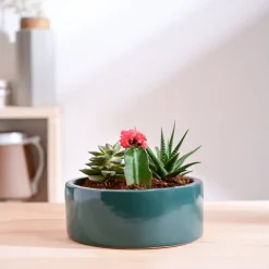 Lilac Stories Flat Ceramic Planter