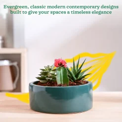 Lilac Stories Flat Ceramic Planter