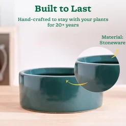 Lilac Stories Flat Ceramic Planter