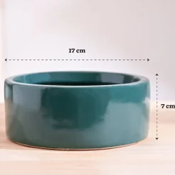 Lilac Stories Flat Ceramic Planter