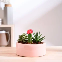 Lilac Stories Flat Ceramic Planter