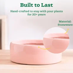 Lilac Stories Flat Ceramic Planter