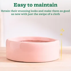 Lilac Stories Flat Ceramic Planter