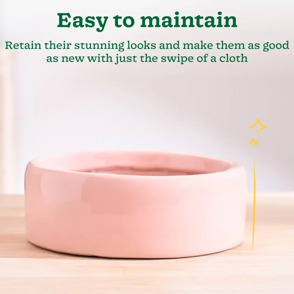 Lilac Stories Flat Ceramic Planter