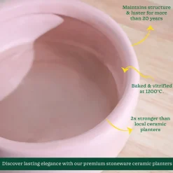 Lilac Stories Flat Ceramic Planter