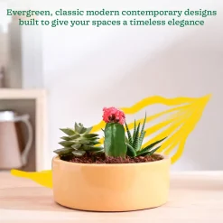 Lilac Stories Flat Ceramic Planter