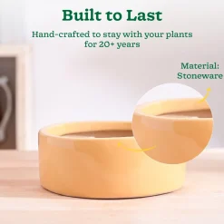 Lilac Stories Flat Ceramic Planter