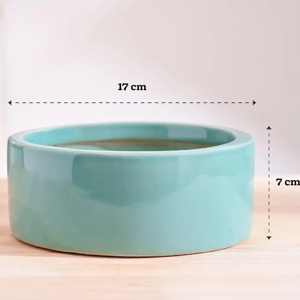 Lilac Stories Flat Ceramic Planter