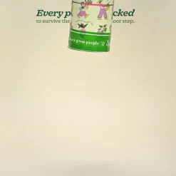 Lucky Bamboo Plant - 2 Layer