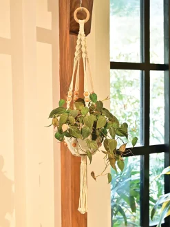 Macrame Single Layer Hanger