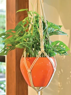 Macrame Three Layer Hanger