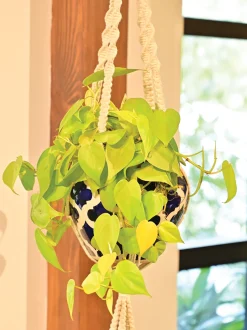 Macrame Two Layer Hanger