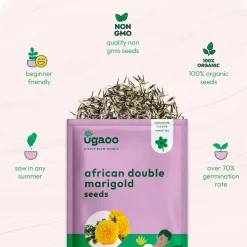 Marigold African Double Seeds