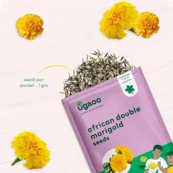 Marigold African Double Seeds