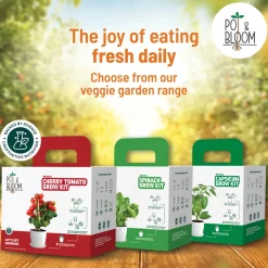 Marigold Grow Kit