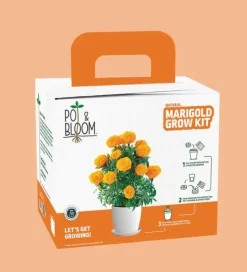 Marigold Grow Kit