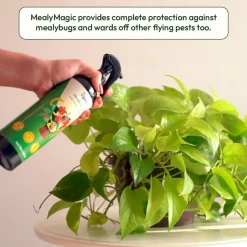 Mealybug Magic Spray for Plant Protection