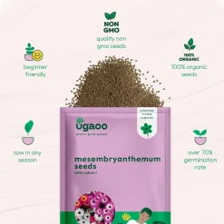 Mesembryanthemum Mix Seeds