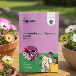 Mesembryanthemum Mix Seeds