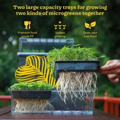 Microgreens Growing Tray
