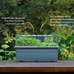 Microgreens Growing Tray