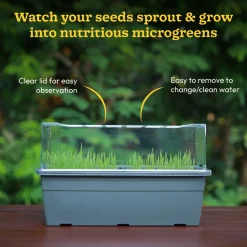 Microgreens Growing Tray
