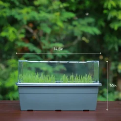 Microgreens Growing Tray