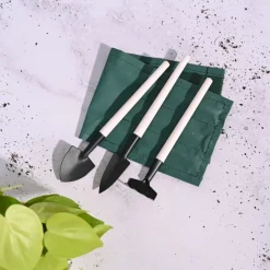 Mini Garden Bonsai Set