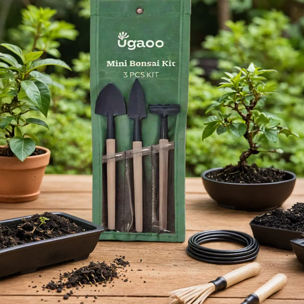 Mini Garden Bonsai Set