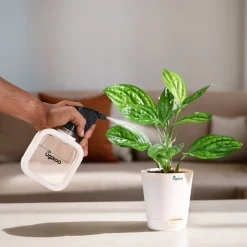 Mistio Sprayer for Plants