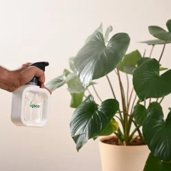 Mistio Sprayer for Plants