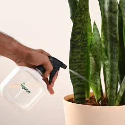 Mistio Sprayer for Plants