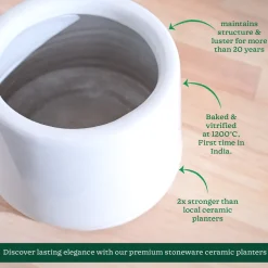 Monsoon Medley Ceramic Planter