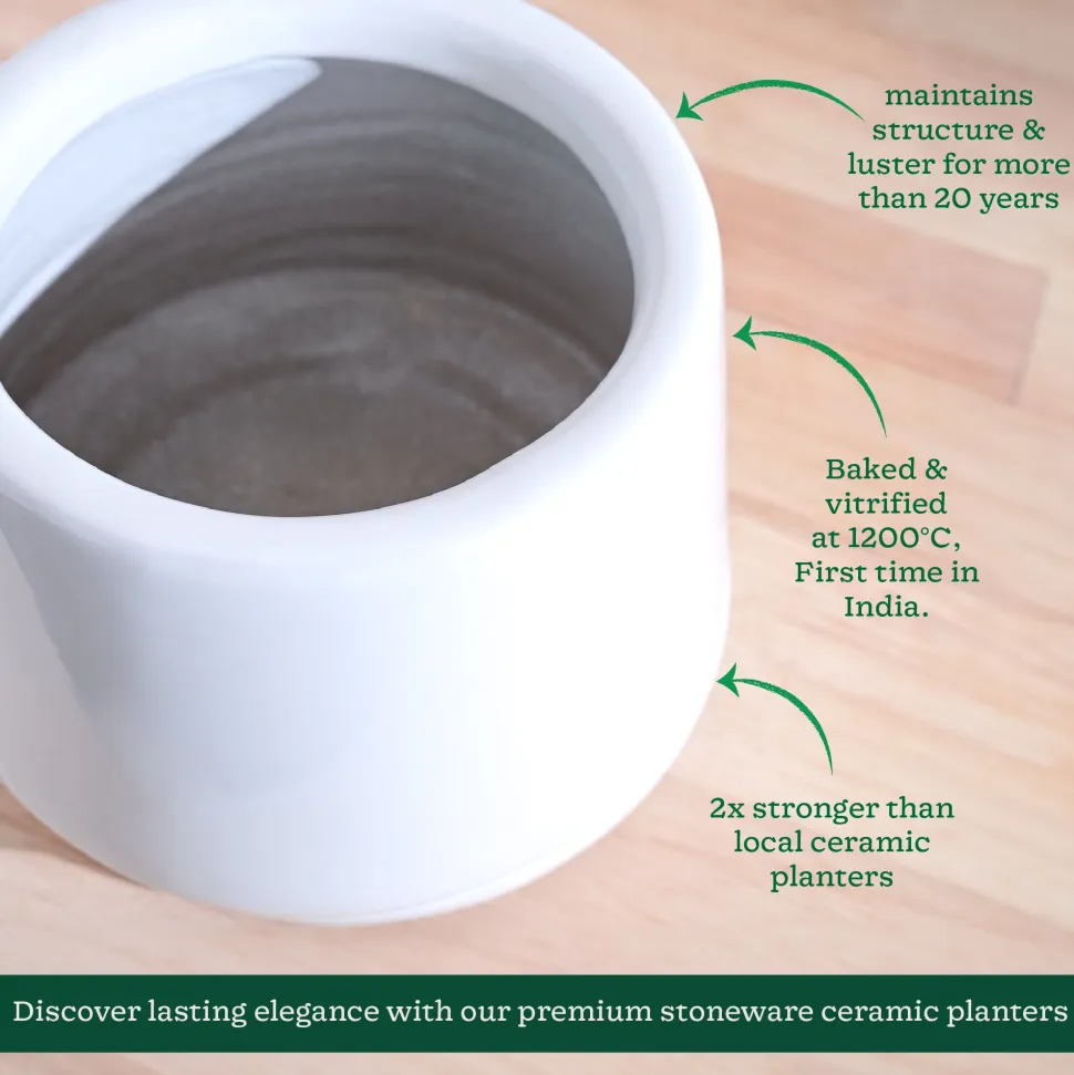 Monsoon Medley Ceramic Planter
