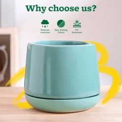 Monsoon Medley Ceramic Planter