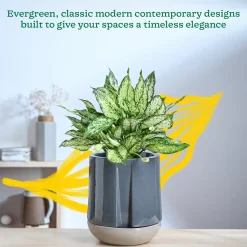 Moonlight Drama Ceramic Planter