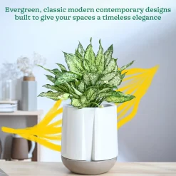 Moonlight Drama Ceramic Planter