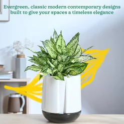 Moonlight Drama Ceramic Planter