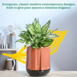 Moonlight Drama Ceramic Planter